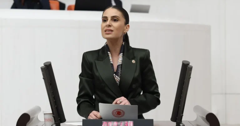 milletvekili-ozcandan-sokak-hayvanlari-icin-bakan-yumakliya-onerge-9kIXcKBK.webp