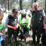 orman-yanginlarina-karsi-es-zamanli-temizlik-qwg2LyOh.webp