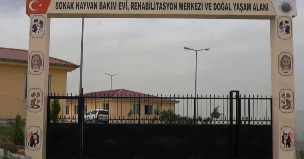 siirtte-sokak-hayvanlari-icin-dev-proje-EvxWTHOu.webp